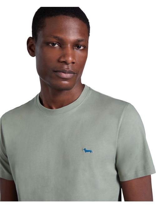 INQ001021055631 VERDE HARMONT&BLAINE | INQ001021055631 VERDE